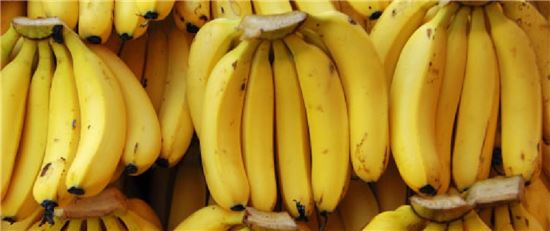 바나나 이미지(사진=아시아경제DB)