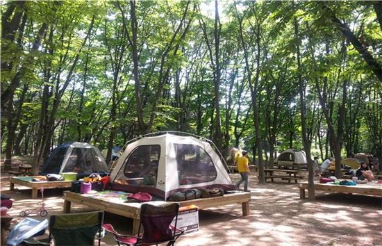 시민들이 양재 시민의숲에서 캠핑을 즐기고 있다.