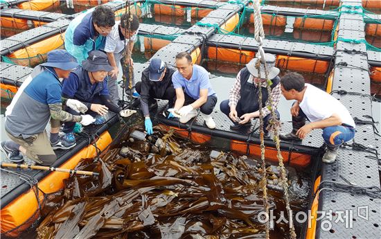 완도군 ‘전복산란기 사육관리요령’찾아가는 교육 실시