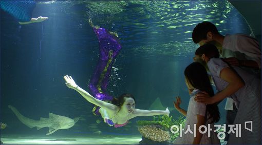 [포토]"63씨월드로 인어공주 보려 오세요"