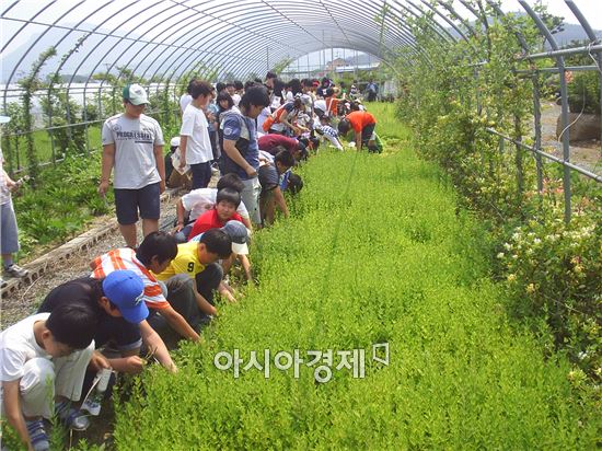 [기획특집] 상상력과 창의력으로 일군 6차 임산업의 선구자 ‘김재원 장흥호도박물관장’