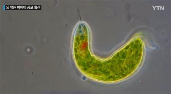 ‘뇌 먹는 아메바’ 美 래프팅 시설서 검출돼…고교생 사망