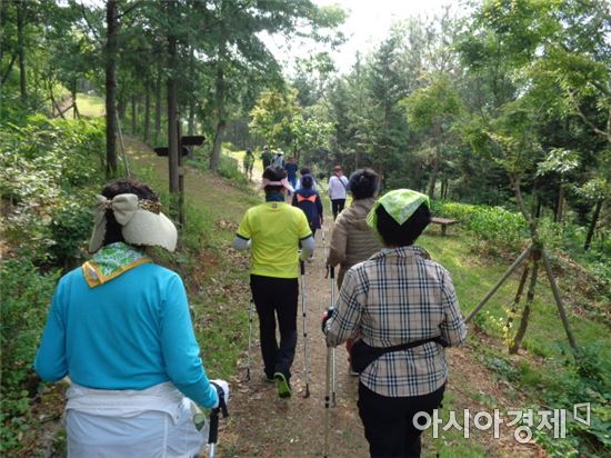 함평군보건소 노르딕스틱 걷기로 주민 건강 챙겨