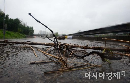 [포토]중랑천 홍수주의보 