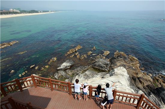 아들바위공원 산책로에서 바라본 주문진 바다