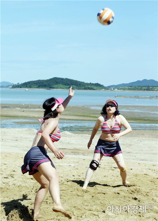 함평군 2016 함평천지한우배 전국 비치발리볼대회 개최