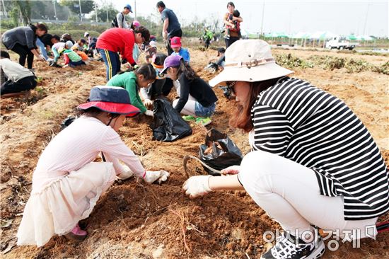 전남도농업박물관서 감자 수확 체험하세요