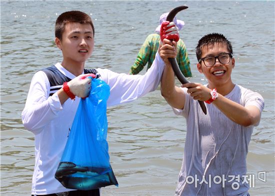 함평군, 돌머리해수욕장 15일  개장