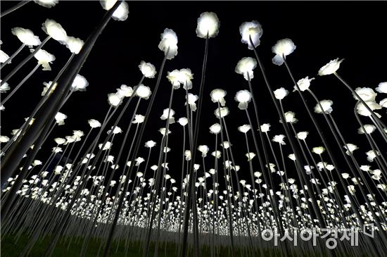 고창문화의전당 주변 LED 장미정원 선보여