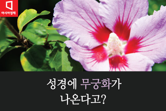 [카드뉴스]성경 '샤론의 장미'에 한국교회가 열광하는 이유