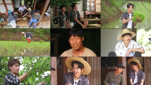 유해진 합류 '완전체' 삼시세끼, 2주 연속 시청률 1위 