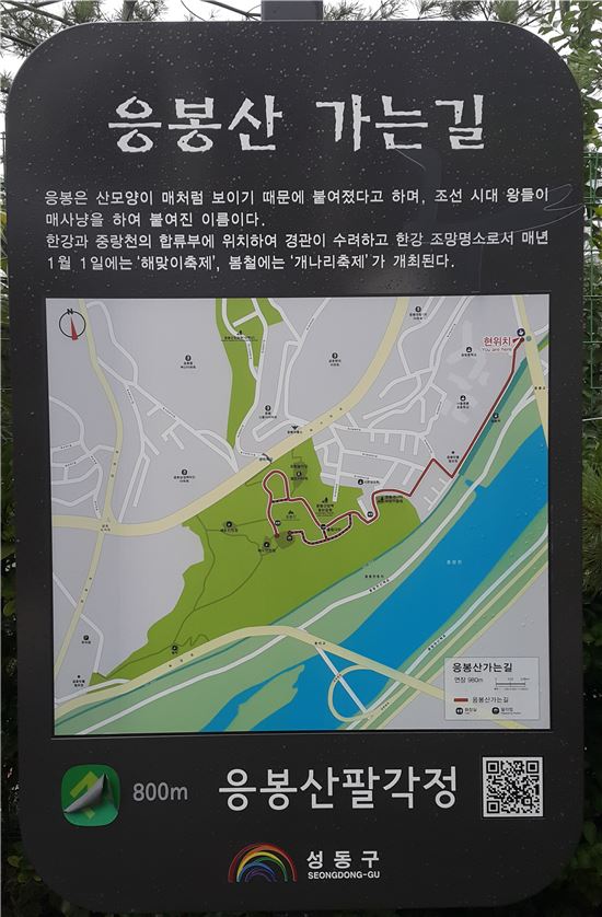 [스토리, 서울의 밤②]한강 속 떠있네 '빛특별시', 응봉산 뷰