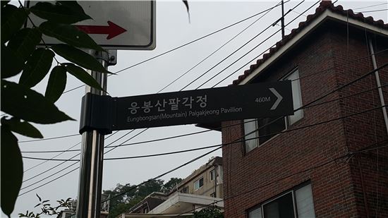 [스토리, 서울의 밤②]한강 속 떠있네 '빛특별시', 응봉산 뷰
