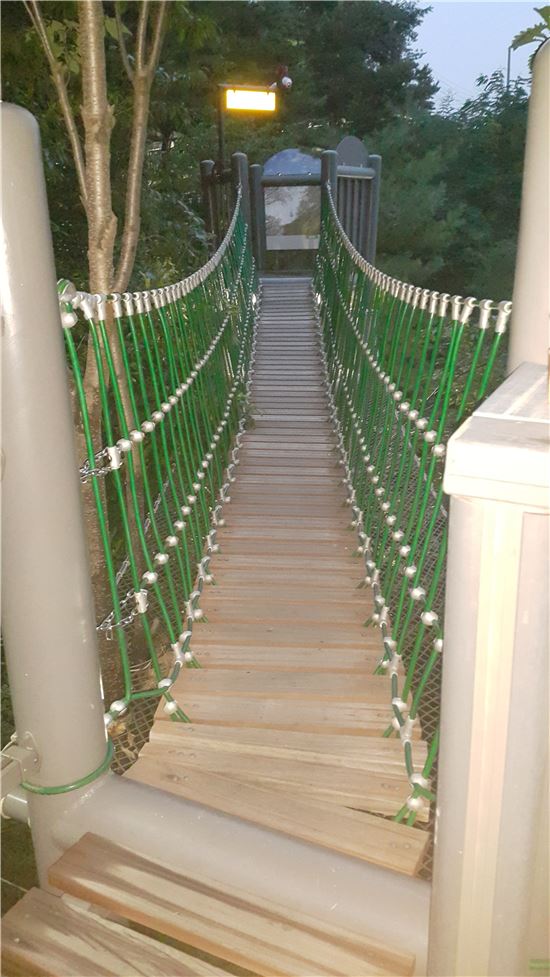 [스토리, 서울의 밤②]한강 속 떠있네 '빛특별시', 응봉산 뷰