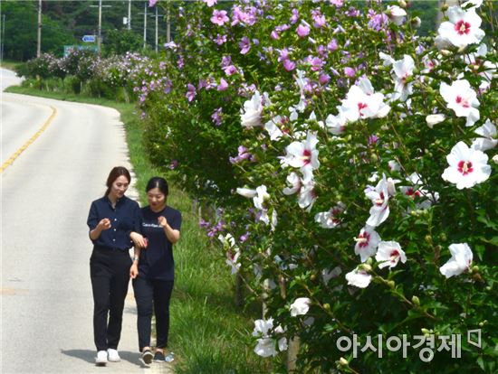 [포토]나라꽃 무궁화 보러오세요