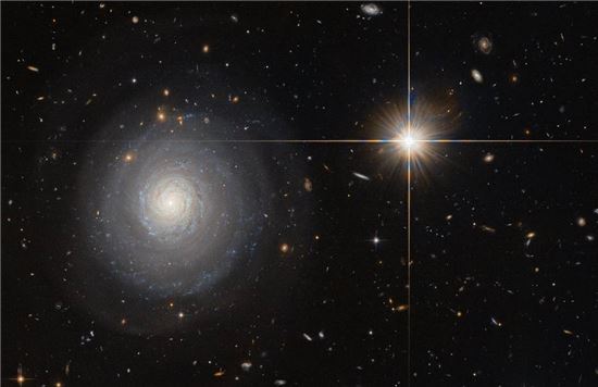 ▲일반 은하보다 수백배 더 많은 별이 태어나는 '스타버스트 은하'.[사진제공=NASA/ESA]