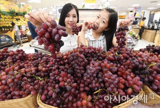 [포토]고당도 적포도 토토라스, 이마트에서 만나세요 
