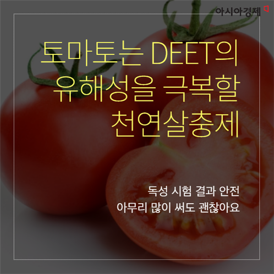 [카드뉴스]'모기해결사' 토마토의 비밀