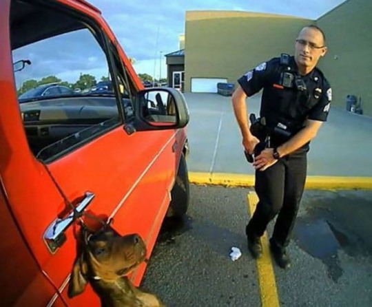 목줄 찬 반려동물을 차 안에? 당신의 ‘잠깐은 괜찮겠지’라는 생각에…