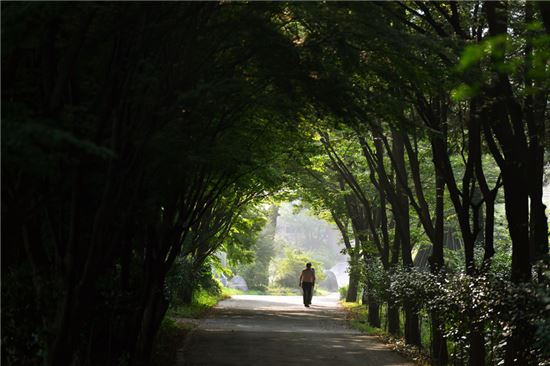 [여행만리]불타는 여름, 더위 잊는 장흥 ‘三興’