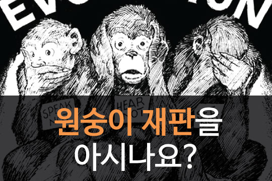 [카드뉴스]1925년 미국 '원숭이 재판'과 2016년 대한민국
