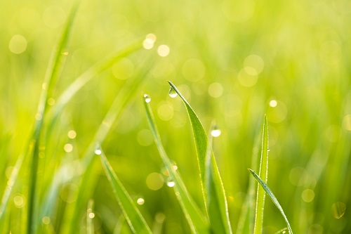 한민검,무료수강 완료 시 민간자격증 발급기회 제공
