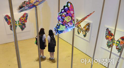 [포토]'나비 천국'