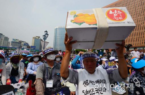 [포토]'우리 참외 농사는 어쩌란 말입니까' 