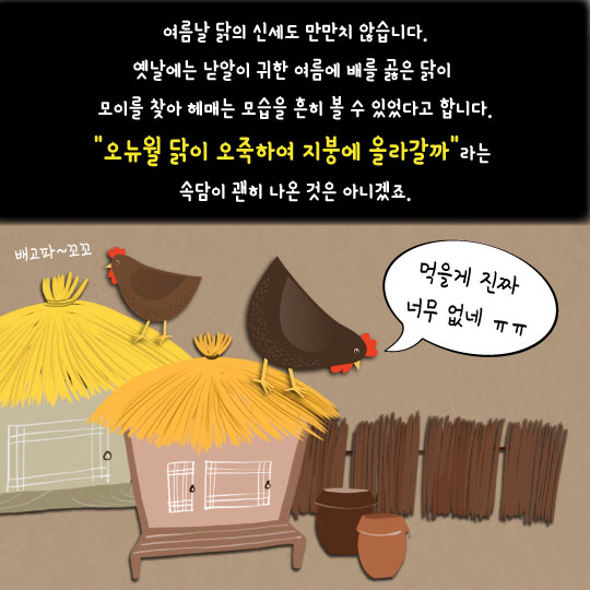 [카드뉴스]오늘 염소 뿔 녹는 날… '왕찜통데이' 짐승잔혹사