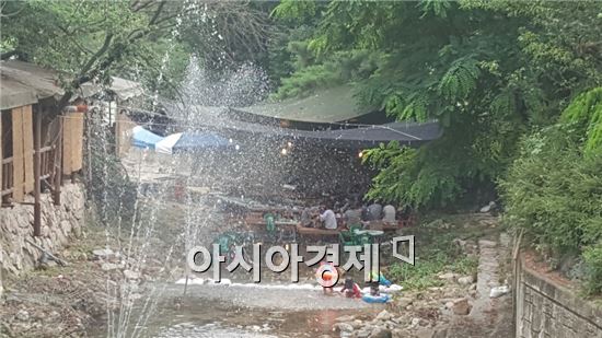 [르포]계곡 불법 평상 여전…단속 안하나 못하나?