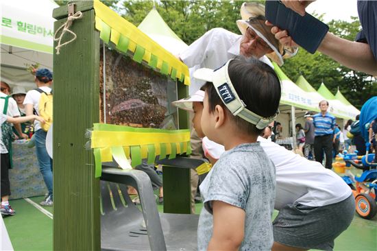 강동구, 어린이 꿀벌체험학교 운영