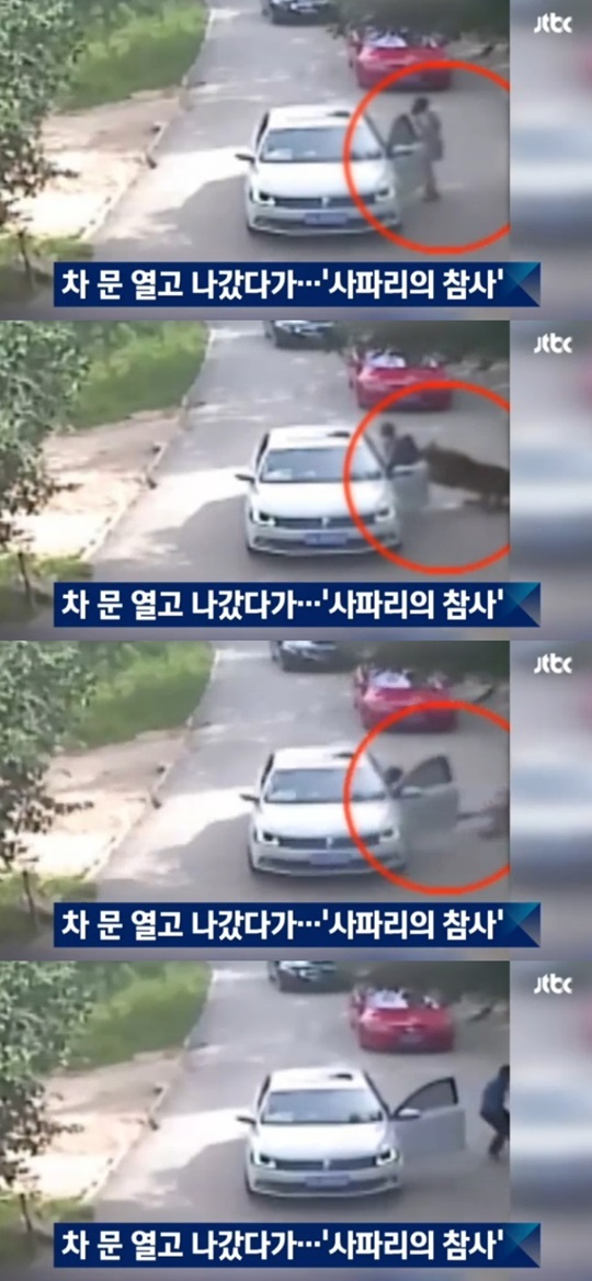 호랑이 습격 장면 / 사진 제공=JTBC 보도화면 캡처