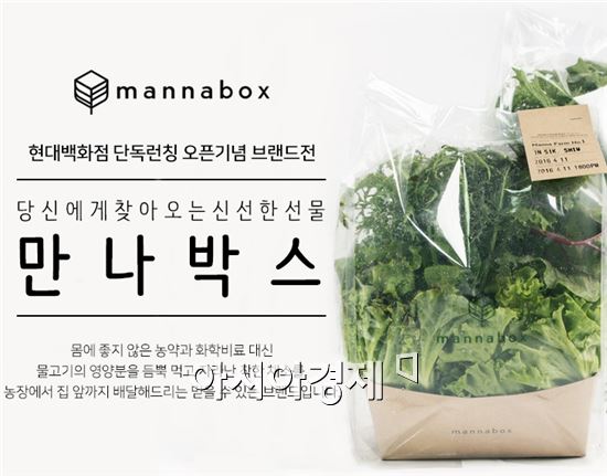 더현대닷컴, 프리미엄 채소 브랜드 '만나박스' 판매