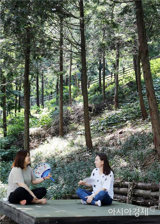 삼림욕하며 무더위 날려보낼까요