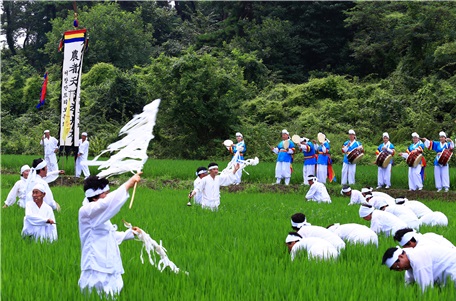 광주 서구, 29일 발산마을 들녘서 ‘만드리 풍년제’