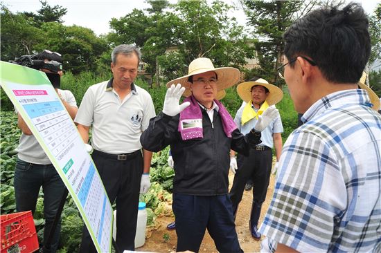 이상욱 농협중앙회 농업경제대표가 25일 강원도 평창군 고랭지배추 계약재배 농가를 방문해 작황과 수급대책을 점검하고 있다.