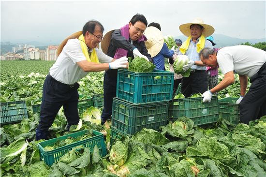 이상욱 농업경제대표, 고랭지배추 수급상황 점검