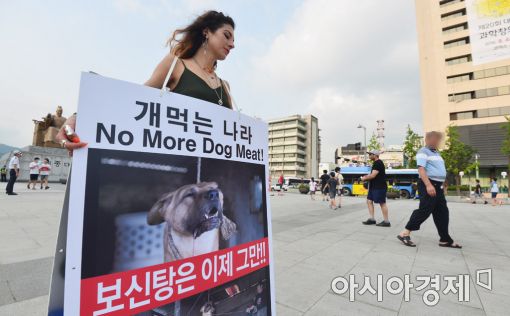 [포토]광장 앞 동물보호 1인 시위