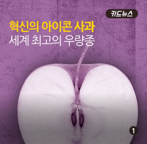 [카드뉴스]"누가 내 사과를 다 먹었나"