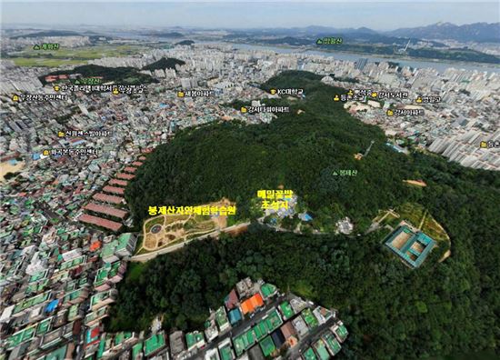 봉제산 메밀꽃밭 조성지