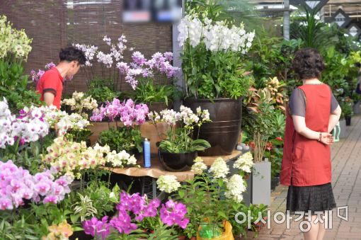 [포토]손님 기다리는 꽃시장 