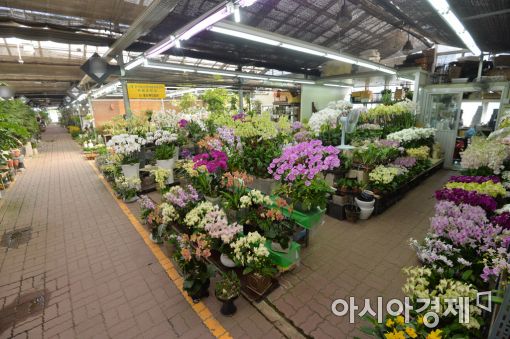 [포토]썰렁한 꽃시장