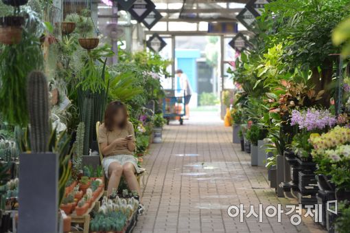 [포토]손님 기다리는 꽃시장
