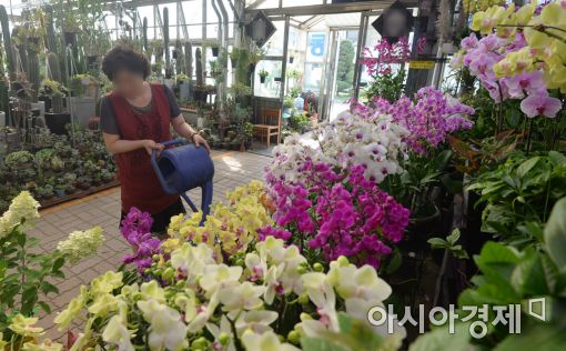 [포토]한적해진 꽃시장 