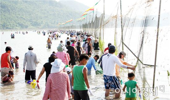 진도군, 3일 접도어촌체험마을에서 '개매기' 바다 체험