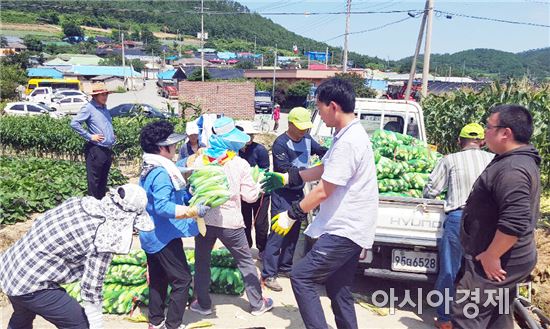 진도군 의신면 ‘사랑의 옥수수’ 사회복지시설 등에 전달