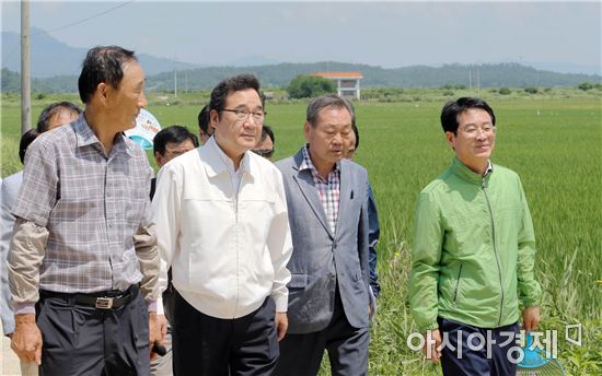 이낙연 전남도지사, 전국 최대 유기농 벼 재배단지 살펴