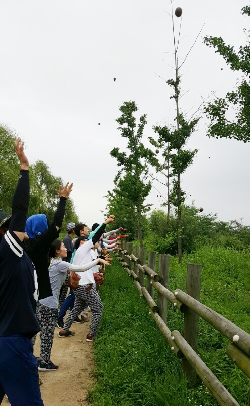 CJ헬스케어 신입사원들이 지난 달 29일 서울 마포구 월드컵공원 내 노을공원서 도시 숲 조성을 위해 나무 씨앗이 담긴 흙 공을 던지고 있다.