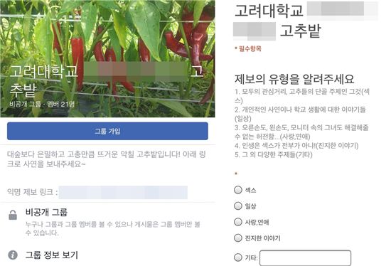 고려대 학생 페이스북 비밀그룹 논란 / 사진=고려대 커뮤니티 '고파스' 캡처 