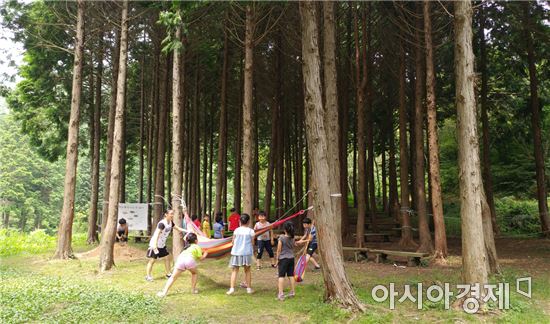진도군, 소외계층 아동 대상으로 행복 체험 숲 운영